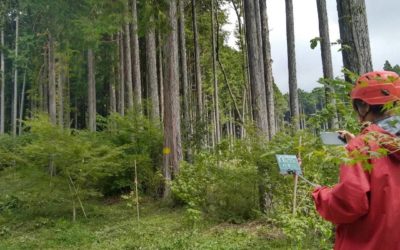 富士山登山道沿いのサクラ・モミジ植樹帯周りの草刈りを実施しました