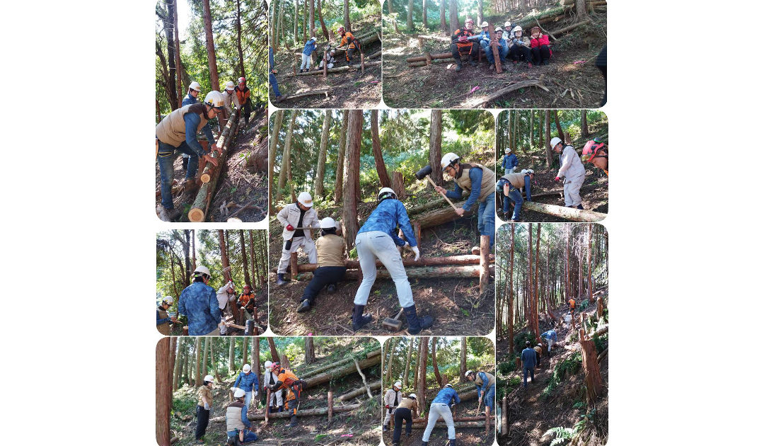 森林整備ボランティア団体「フジヤマロガークラブ」第１回開催しました‼